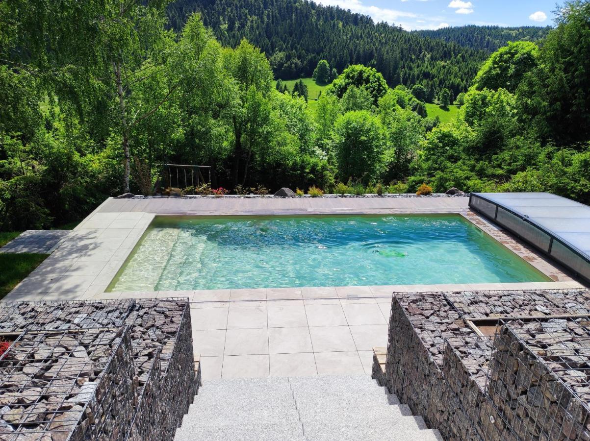 Le Cerf, Chalet Cocooning Avec Piscine Et Billard Ban-sur-Meurthe-Clefcy Exterior foto